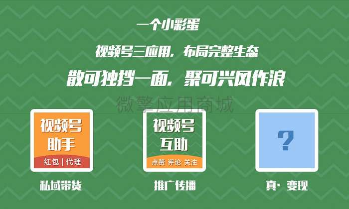 视频号扩展链接助手v1.5.0插图