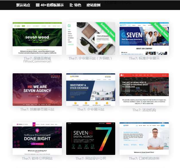 wordpress主题Thev.9.5.2.2-中文汉化可视化建站最新汉化版带秘钥插图 wordpress主题Thev.9.5.2.2-中文汉化可视化建站最新汉化版带秘钥插图