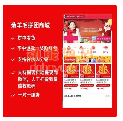 薅羊毛拼团商城小程序V2.1.6+前端有域名授权-百度云盘下载插图