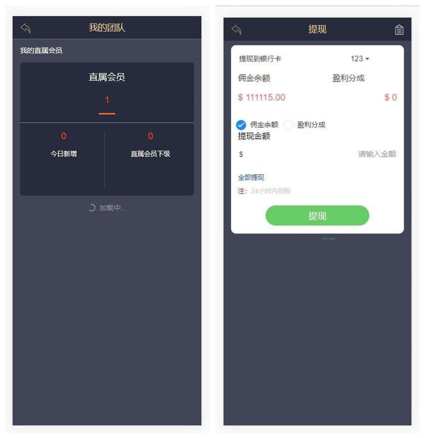 金手指股票配资微交易源码_虚拟股票交易程序插图(1)
